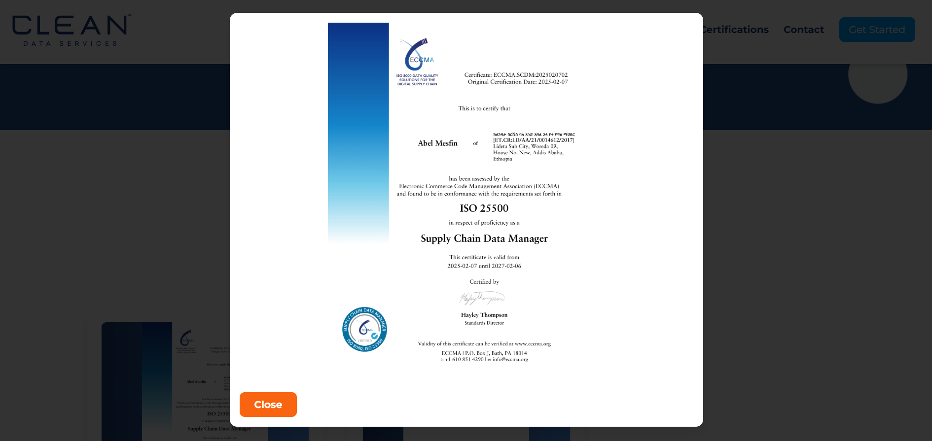 Clean Data Services view 4